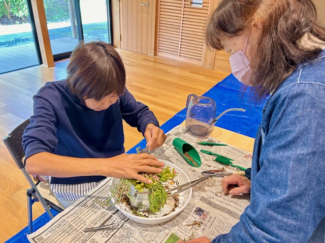 脳活教室「多肉植物の寄せ植え」が10/29に開催されました。